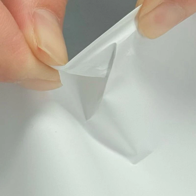 Glossy White PP high quality